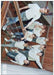 Kpop Newest 201 Kpop NCT music poster white coated paper print painting wall art home decor girls' room decoration that you'll fall in love with. At an affordable price at KPOPSHOP, We sell a variety of 201 Kpop NCT music poster white coated paper print painting wall art home decor girls' room decoration with Free Shipping.