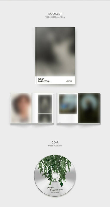 KPop Album- INFINITE KIM SUNG KYU - Won’t Forget You